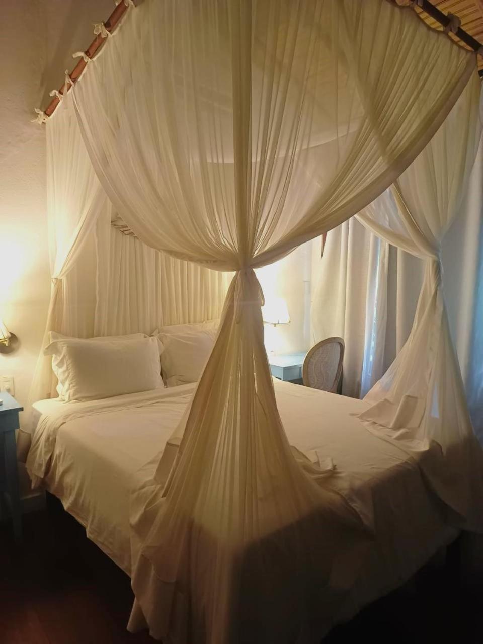 Monkey Casa Hotel Транкозо Екстериор снимка